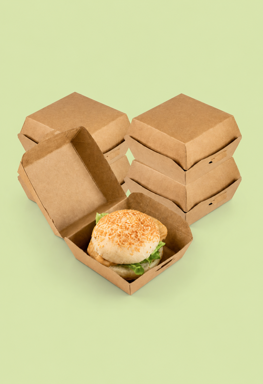Burger Qabı L